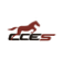 CCES/国通快递